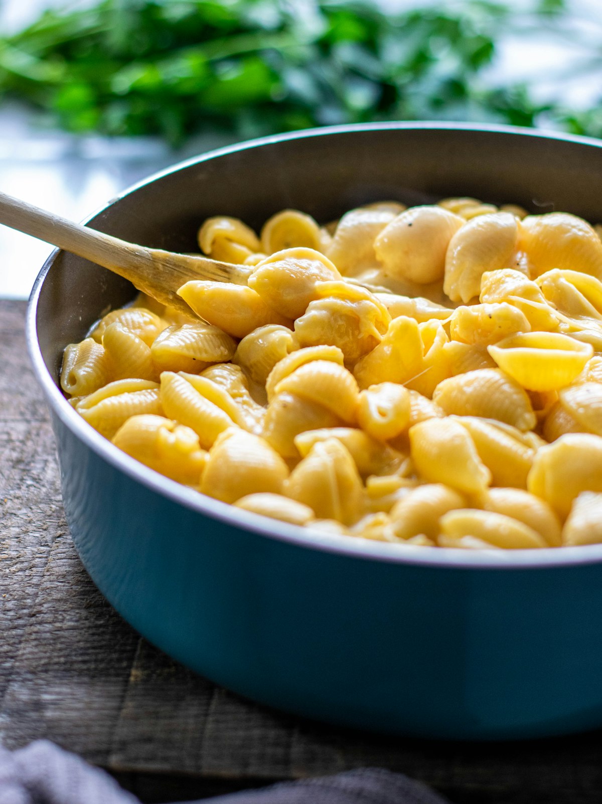 Elevated comfort food with creamy mac and cheese